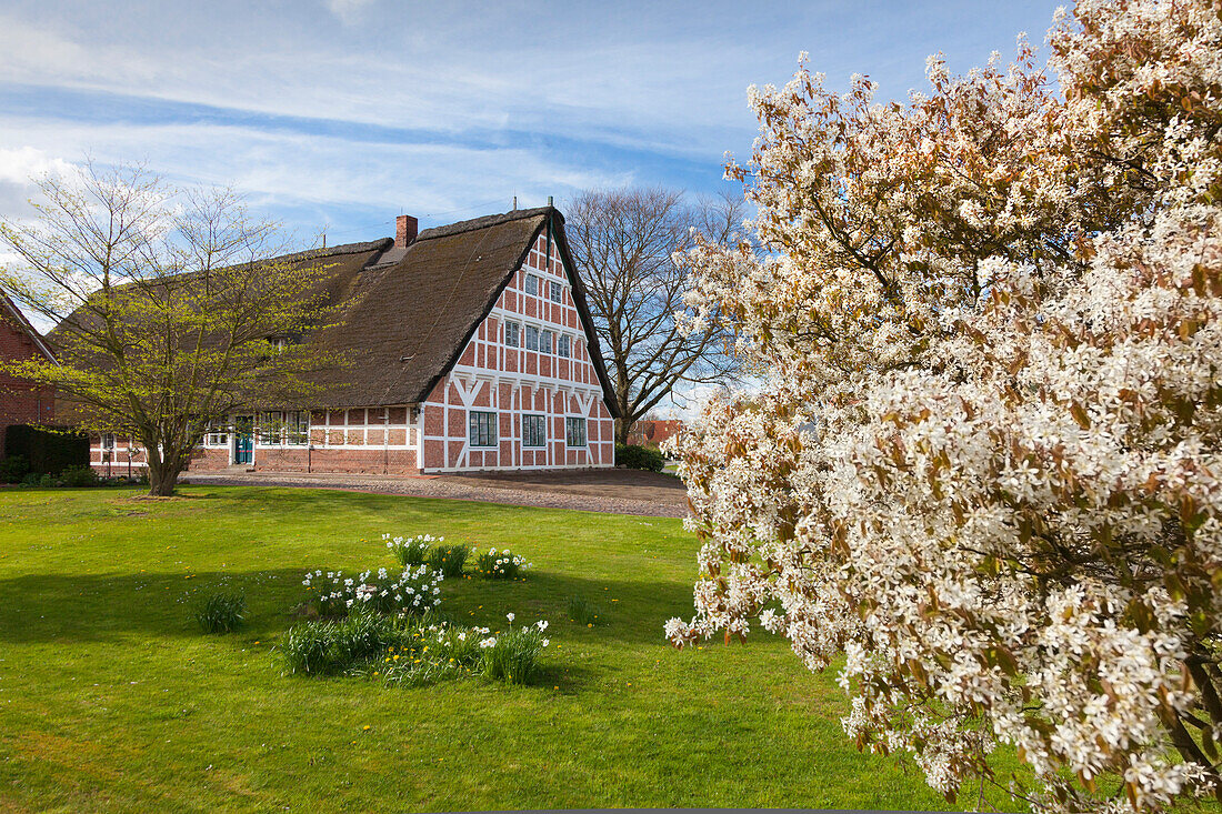 Reetgedecktes Fachwerkhaus, bei Mittelnkirchen, Altes Land, Niedersachsen, Deutschland