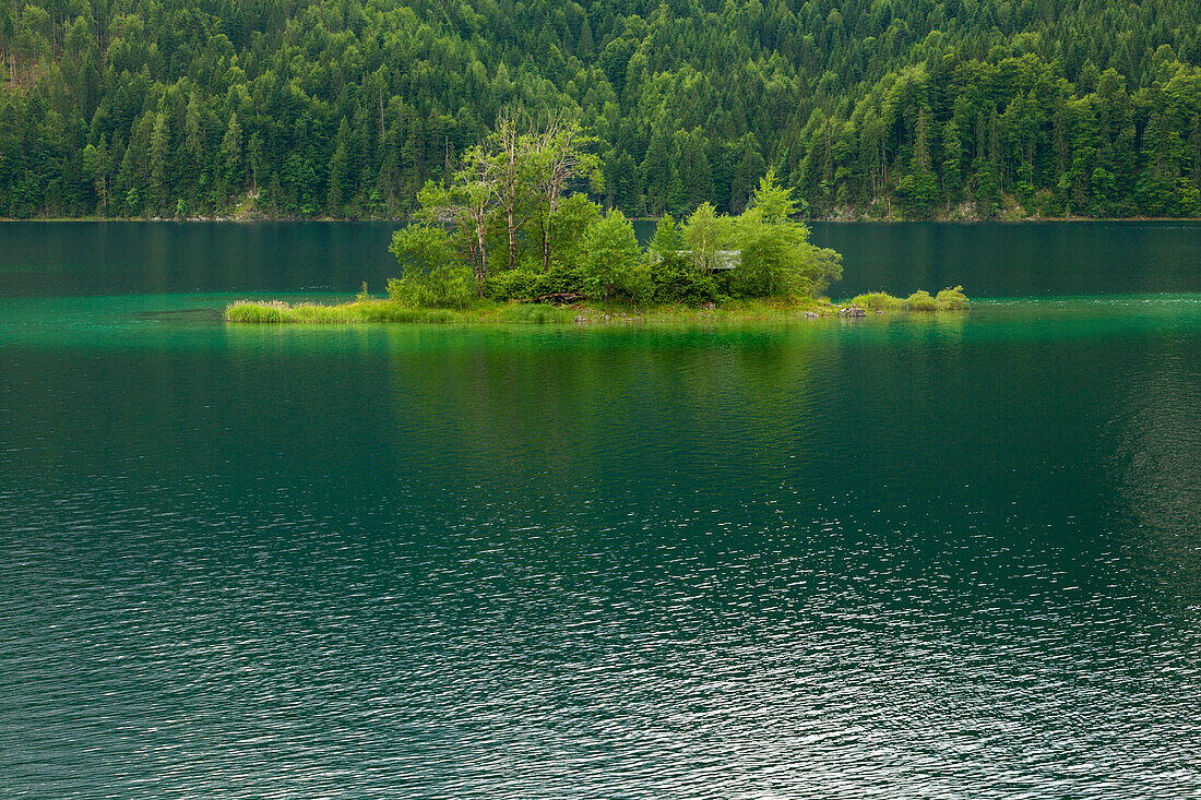 Small island at Eibsee, near Garmisch-Partenkirchen, Werdenfels region, Bavaria, Germany