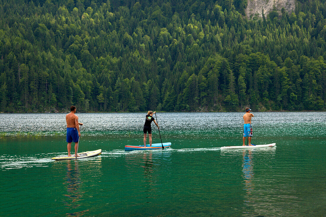 Stand Up Paddler auf dem Eibsee, bei Garmisch-Partenkirchen, Werdenfelser Land, Bayern, Deutschland