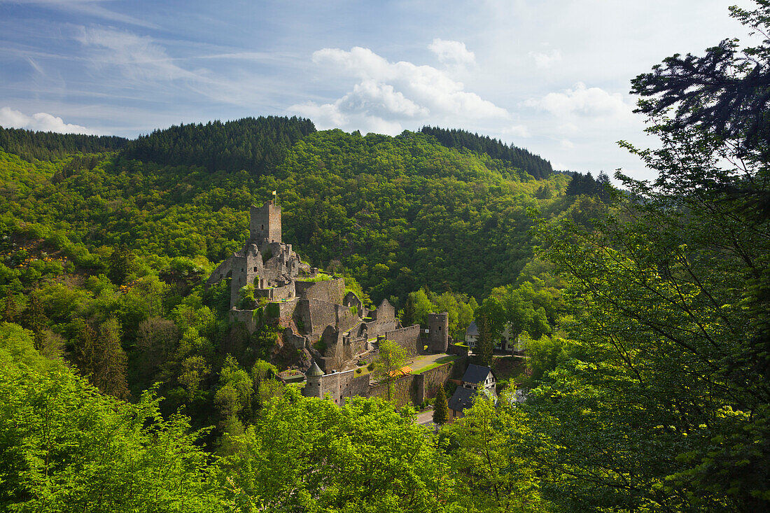 Niederburg, bei Manderscheid, Eifelsteig, Vulkaneifel, Eifel, Rheinland-Pfalz, Deutschland