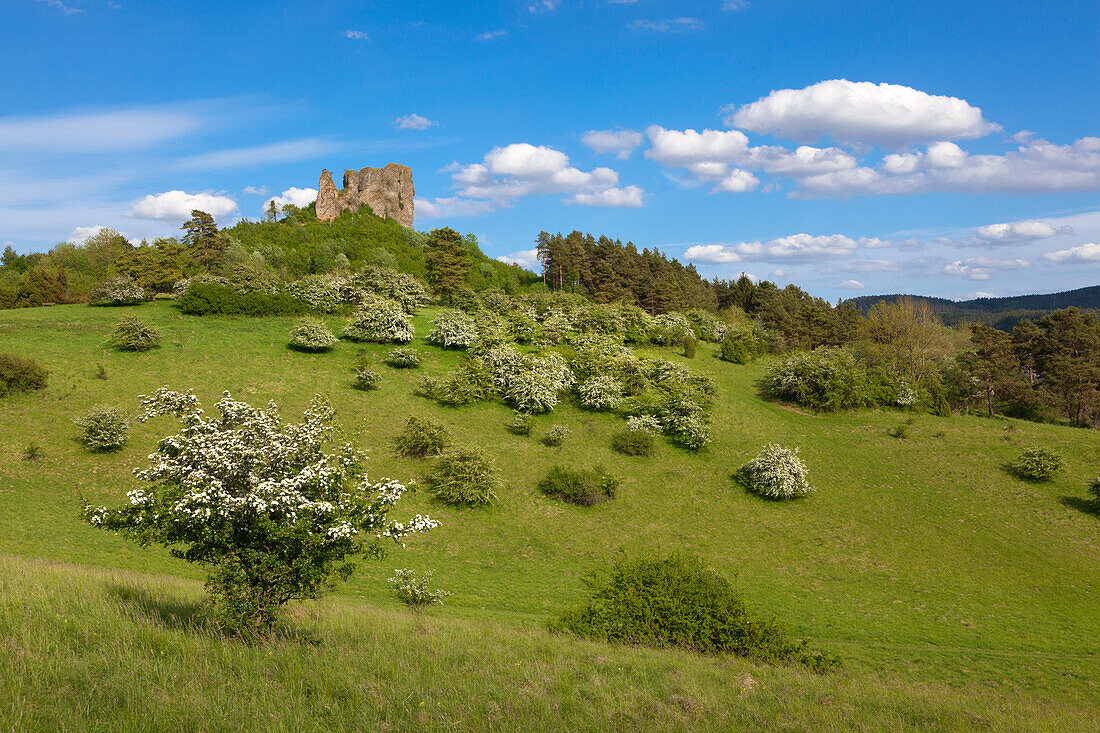 Felsformation Auberg, bei Gerolstein, Eifelsteig, Vulkaneifel, Eifel, Rheinland-Pfalz, Deutschland