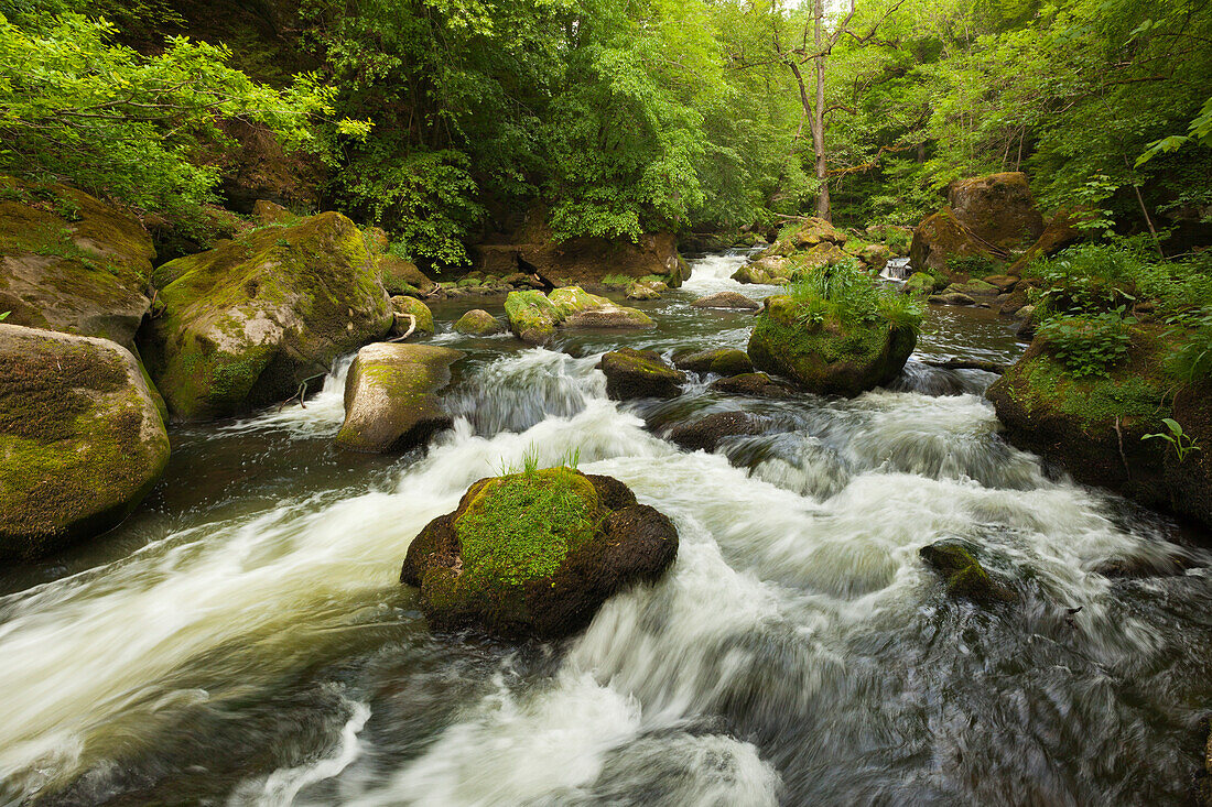 Irreler Waterfalls, cataracts of the Pruem rivulet, nature park Suedeifel, Eifel, Rhineland-Palatinate, Germany