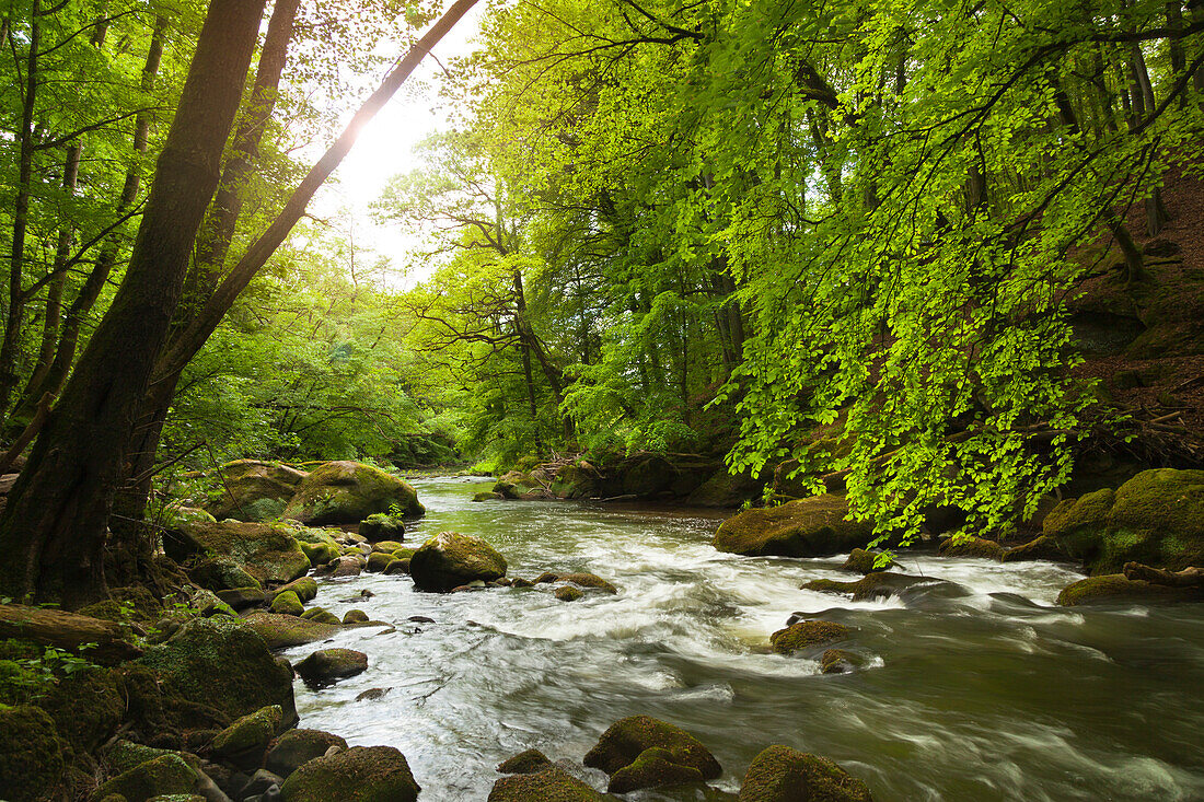 Irreler waterfalls, cataracts of the Pruem rivulet, nature park Suedeifel, Eifel, Rhineland-Palatinate, Germany