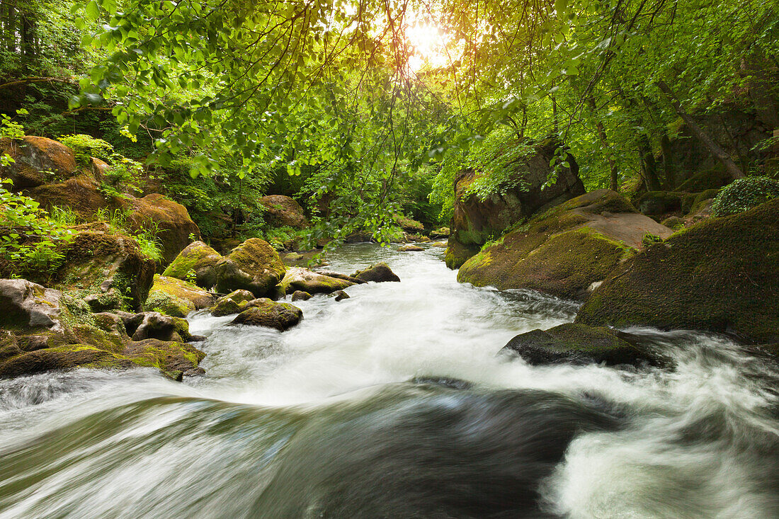 Irreler Wasserfälle, Stromschnellen des Flüsschens Prüm, bei Irrel, Naturpark Südeifel, Eifel, Rheinland-Pfalz, Deutschland