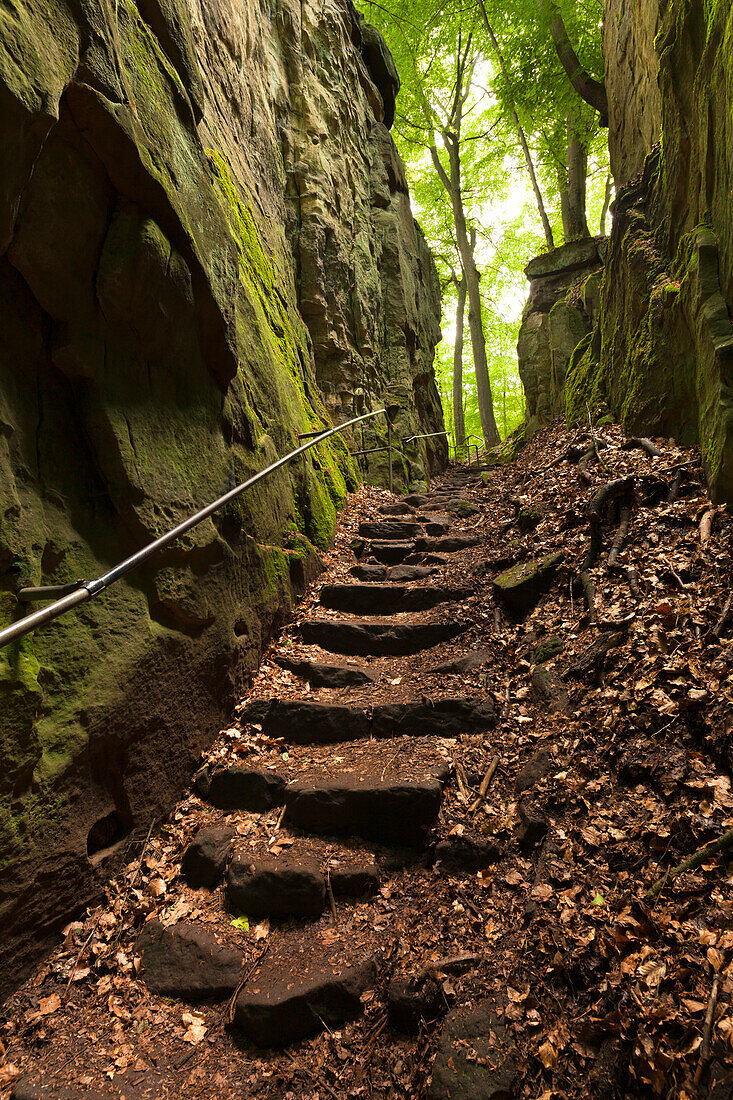 Teufelsschlucht, Naturpark Südeifel, Eifel, Rheinland-Pfalz, Deutschland