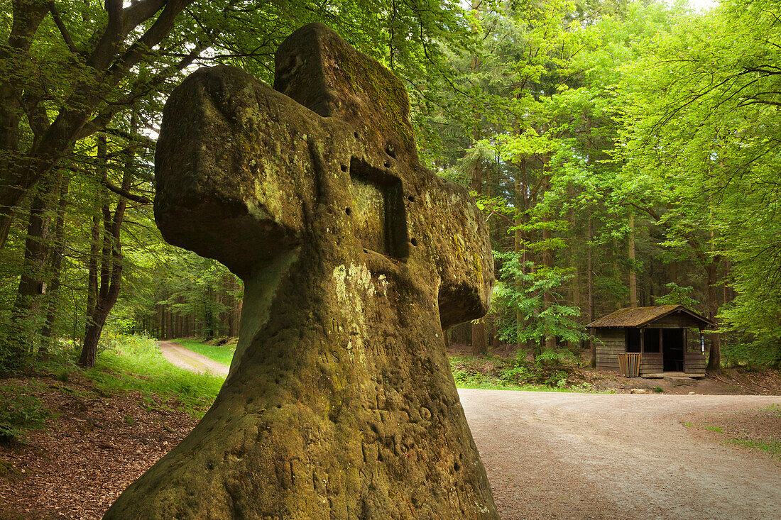 Standing stone, Fraubillenkreuz, nature park Suedeifel, Eifel, Rhineland-Palatinate, Germany
