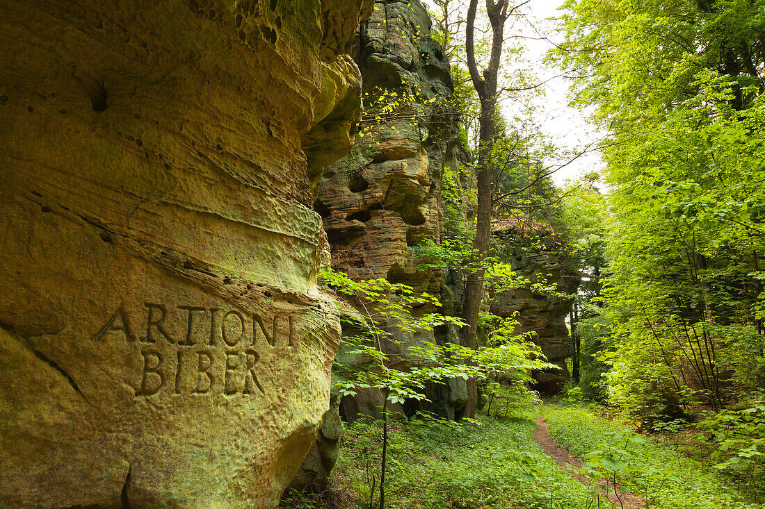 Felsformation Schweineställe, bei Bollendorf, Naturpark Südeifel, Eifel, Rheinland-Pfalz, Deutschland