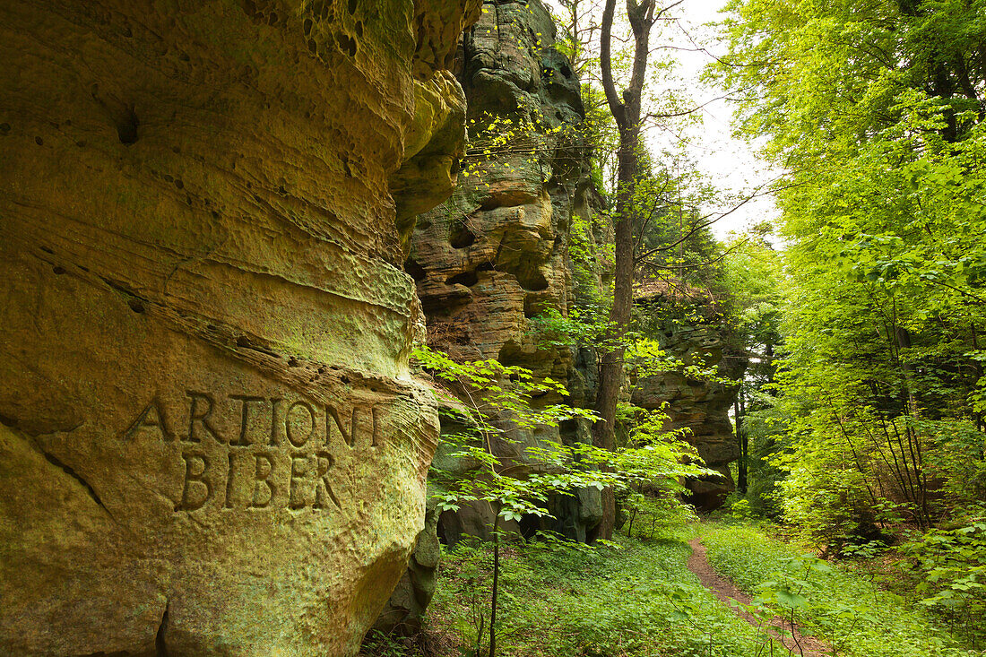 Rock formation, Schweinestaelle, near Bollendorf, nature park Suedeifel, Eifel, Rhineland-Palatinate, Germany