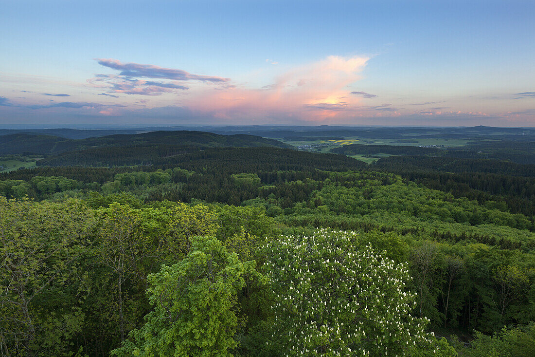 View from Hohe Acht, near Adenau, Eifel, Rhineland-Palatinate, Germany