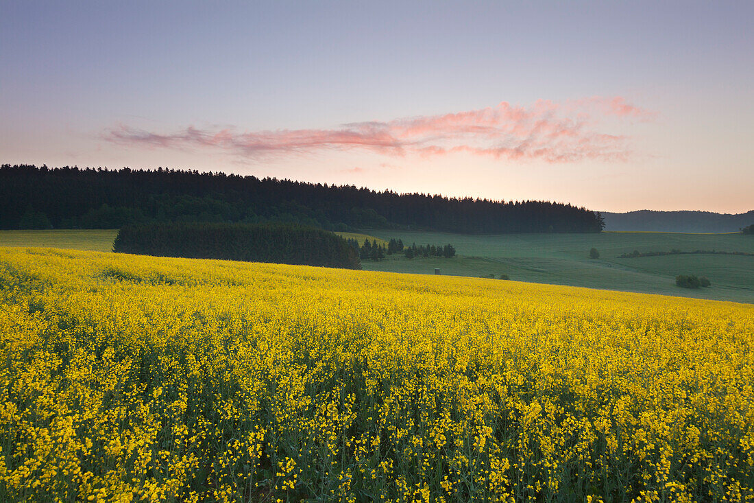 Landschaft bei Nürburg, Eifel, Rheinland-Pfalz, Deutschland