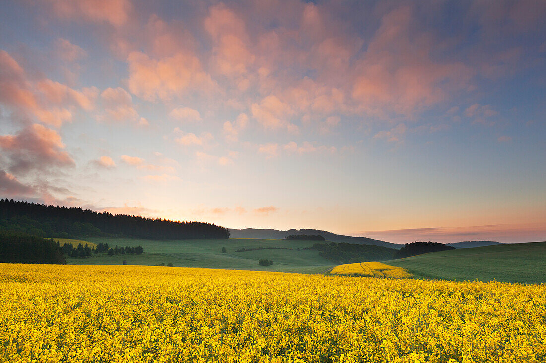 Landscape near Nuerburg, Eifel, Rhineland-Palatinate, Germany