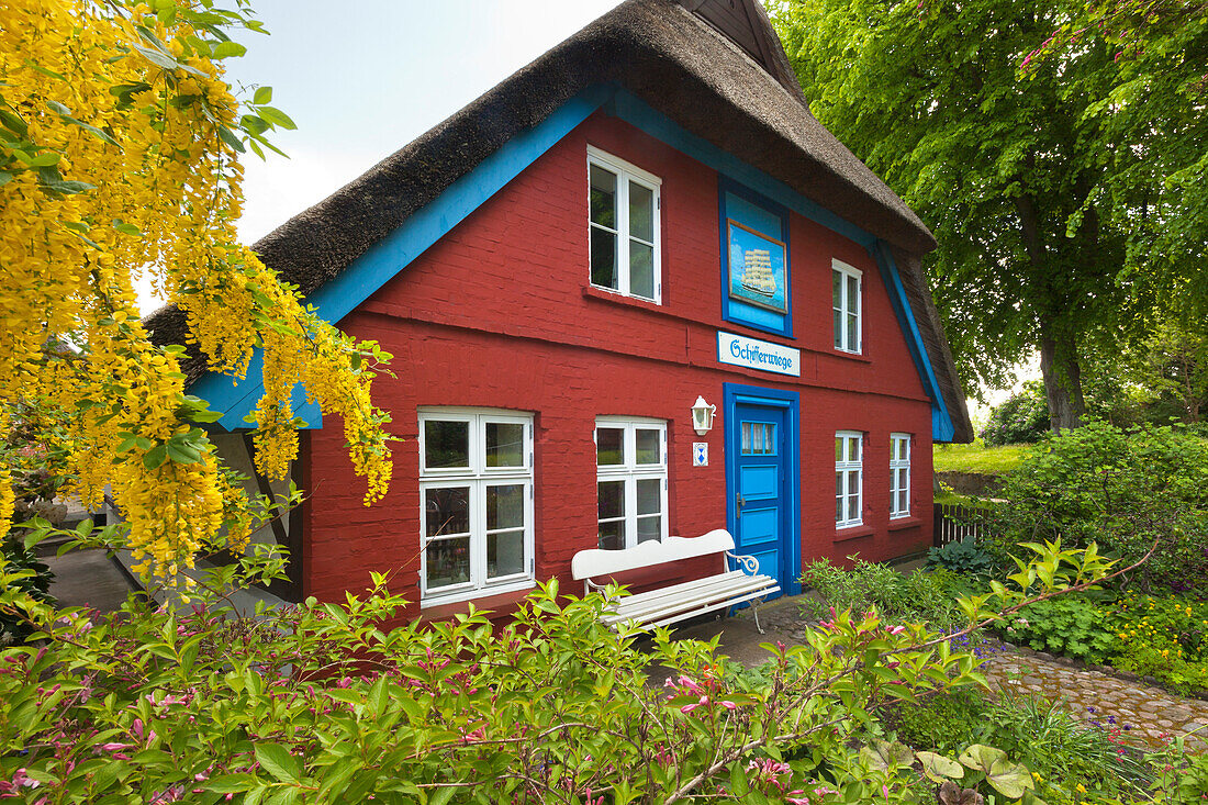 House Schifferwiege in Wustrow, Darss, Baltic Sea, Mecklenburg-West Pomerania, Germany