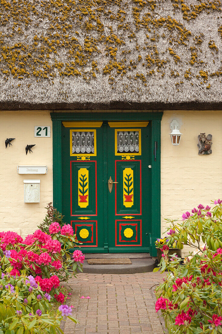 House in Born, Darss, Baltic Sea, Mecklenburg-West Pomerania, Germany