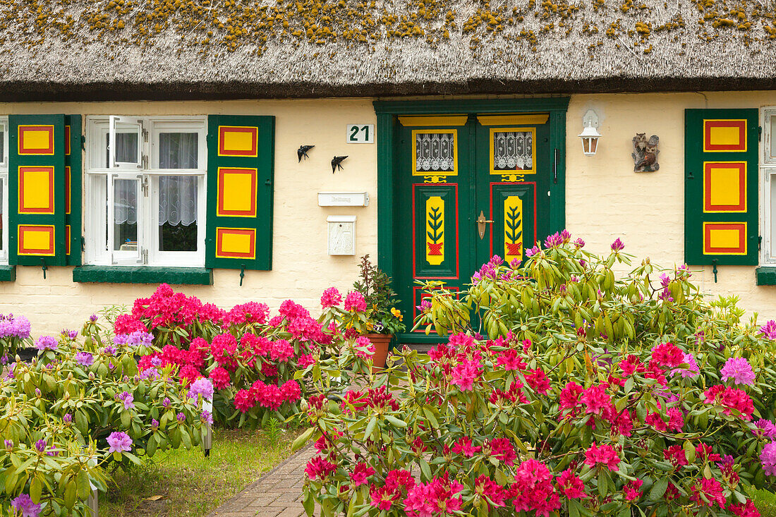 House in Born, Darss, Baltic Sea, Mecklenburg-West Pomerania, Germany