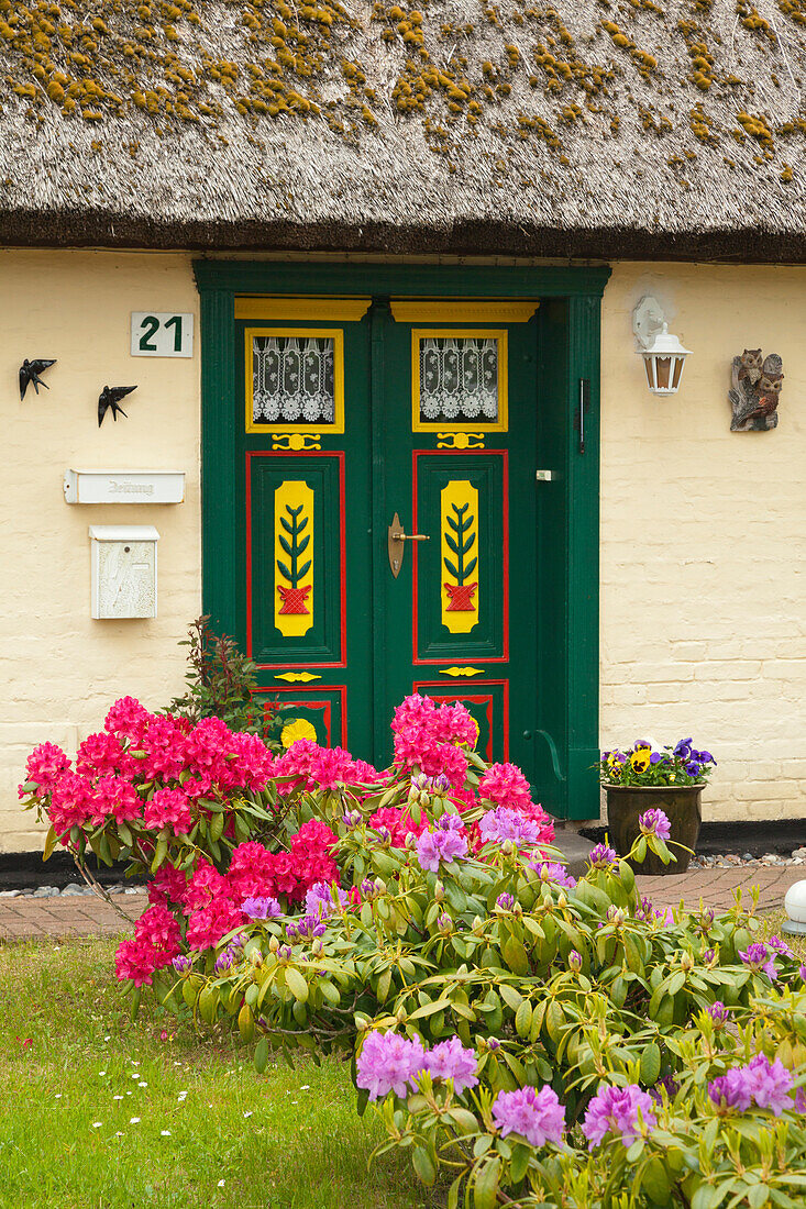 House in Born, Darss, Baltic Sea, Mecklenburg-West Pomerania, Germany