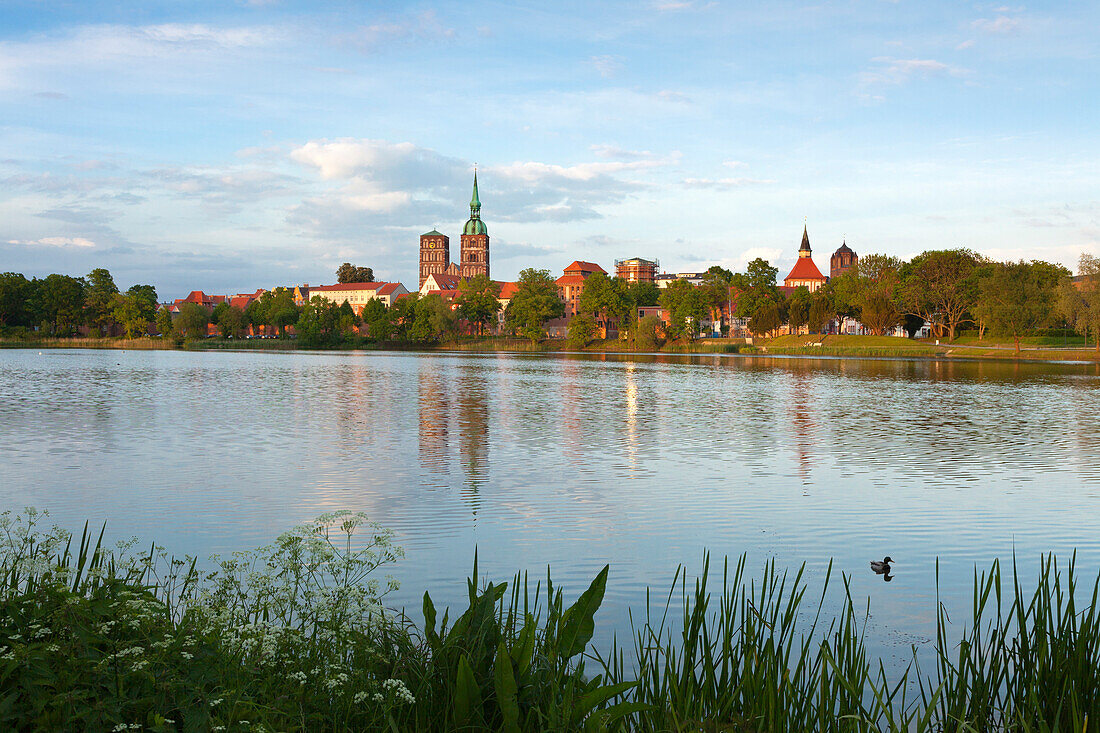 Blick über den Knieperteich auf die Altstadt mit der Nikolaikirche, Stralsund, Ostsee, Mecklenburg-Vorpommern, Deutschland