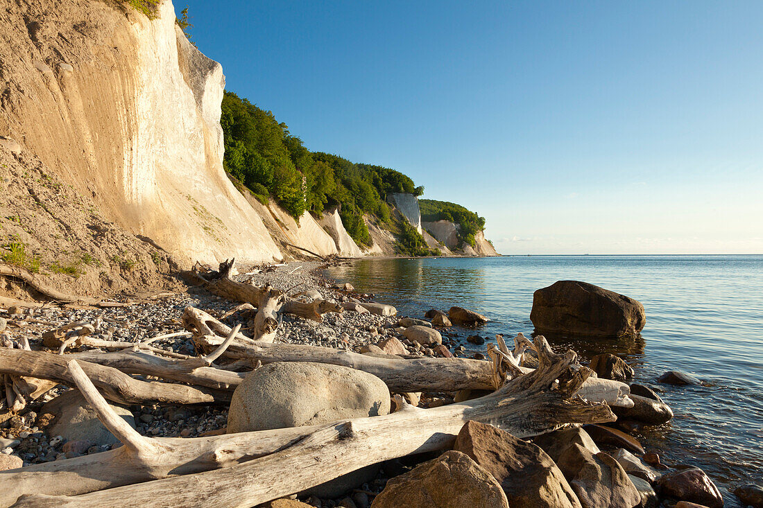 Chalk cliff, National Park Jasmund, Ruegen island,  Baltic Sea, Mecklenburg-West Pomerania, Germany