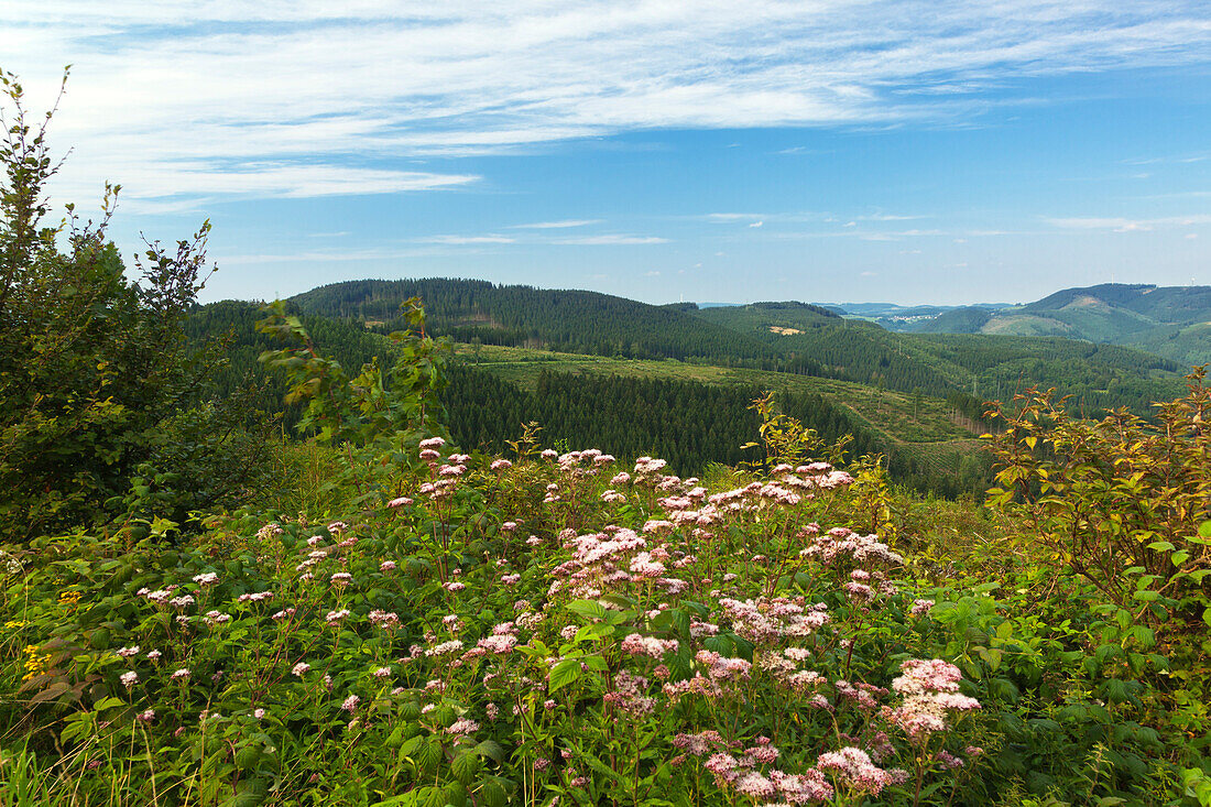 Blick vom Berg „Hohe Bracht“,  Rothaargebirge, Sauerland, Nordrhein-Westfalen, Deutschland