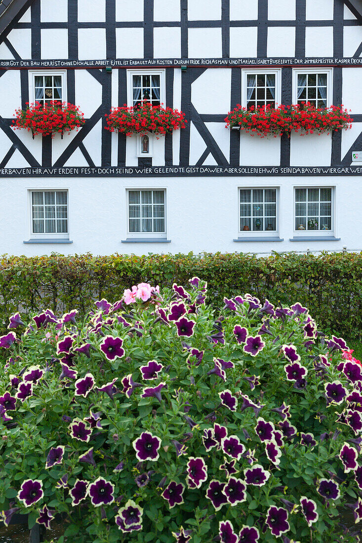 Fachwerkhaus im Dorf Kirchveischede, bei Lennestadt, Rothaargebirge, Sauerland, Nordrhein-Westfalen, Deutschland