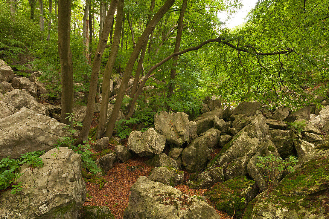 Rock formation Felsenmeer, near Hemer, Sauerland region, North Rhine-Westphalia, Germany