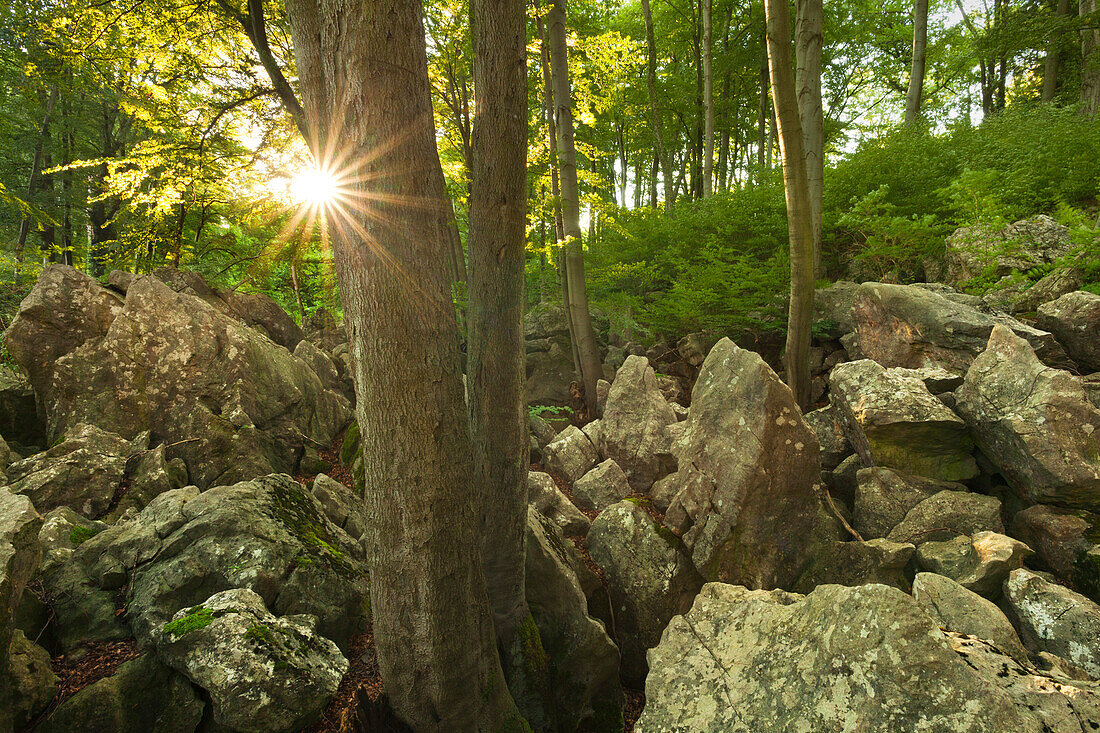 Rock formation Felsenmeer, near Hemer, Sauerland region, North Rhine-Westphalia, Germany