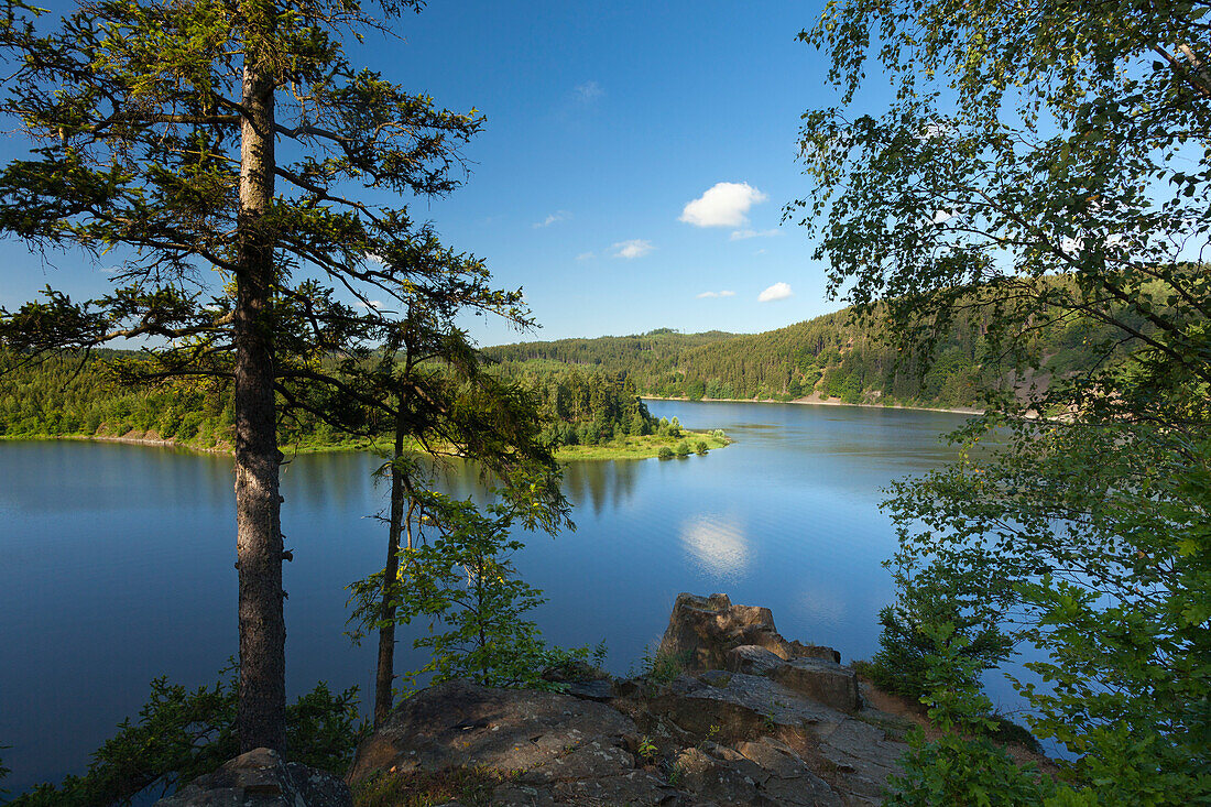 Saale barrier lake, nature park Thueringer Schiefergebirge / Obere Saale,  Thuringia, Germany