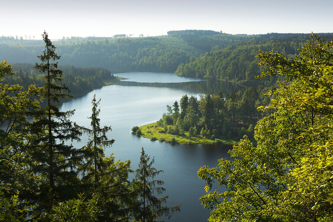 Saale-Stausee, Naturpark Thüringer Schiefergebirge / Obere Saale, Thüringen, Deutschland