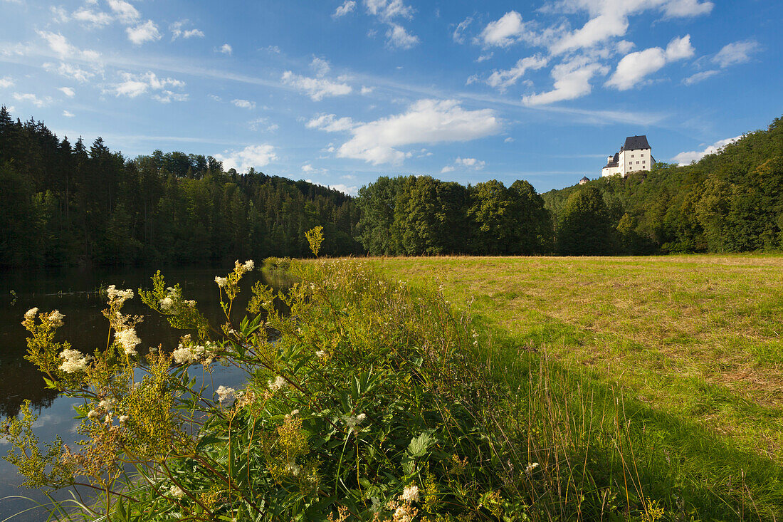 Burgk castle, nature park Thueringer Schiefergebirge / Obere Saale,  Thuringia, Germany