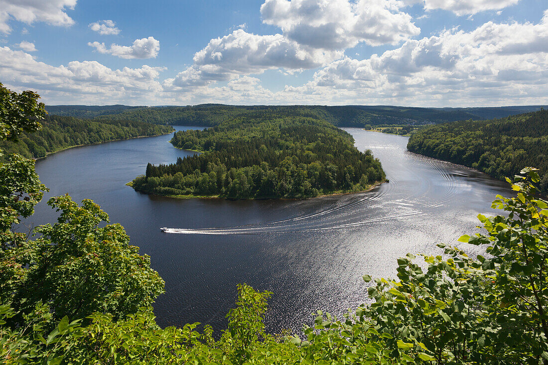 Blick auf die Saaleschleife am Saale-Stausee, Naturpark Thüringer Schiefergebirge / Obere Saale, Thüringen, Deutschland