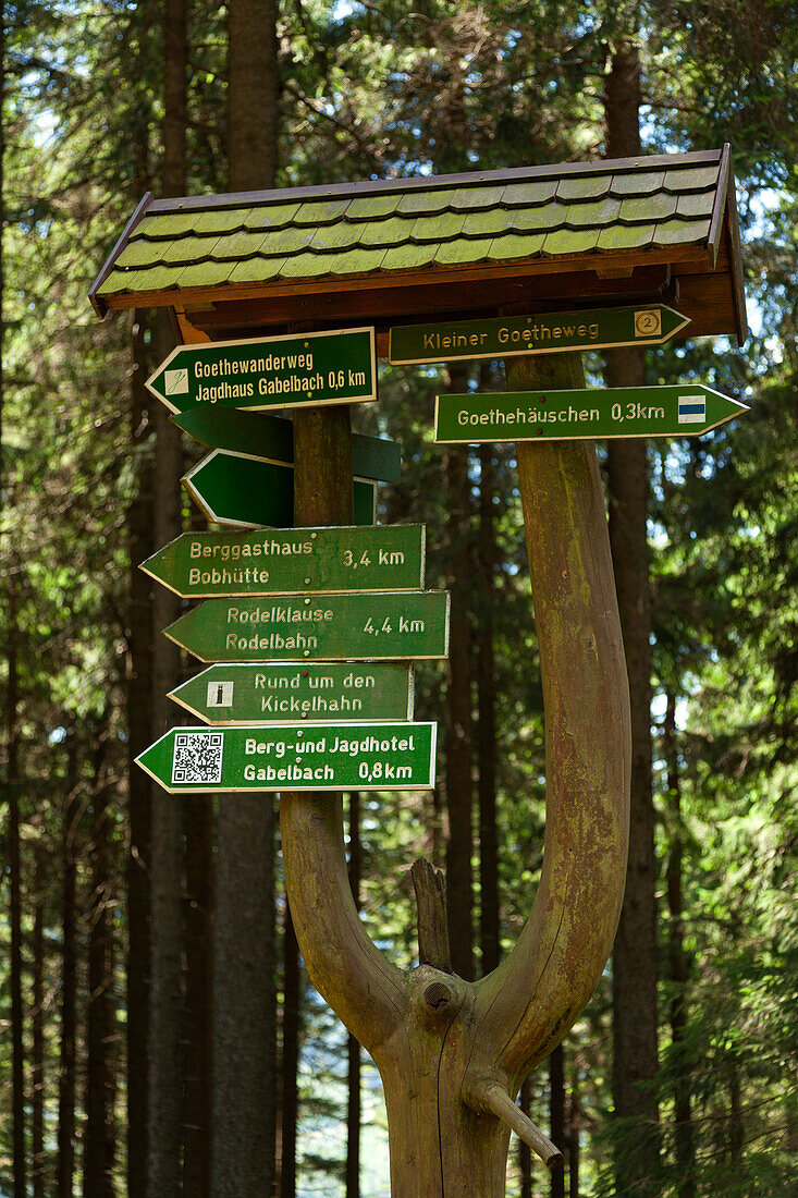 Signpost at the Goethe hiking trail to Kickelhahn hill, near Ilmenau, nature park Thueringer Wald,  Thuringia, Germany