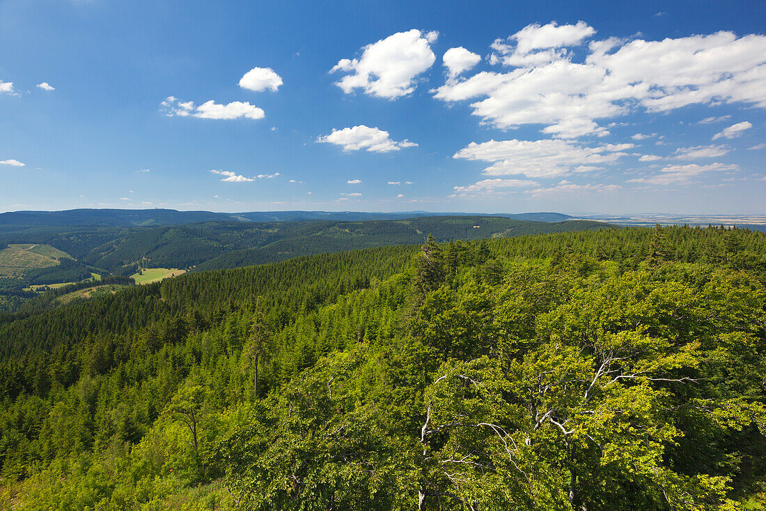 View from Kickelhahn hill, near Ilmenau, Goethe Hiking Trail, nature park Thueringer Wald,  Thuringia, Germany