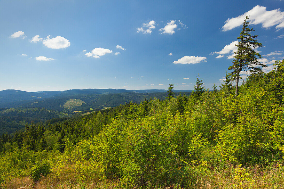 View from Kickelhahn hill, near Ilmenau, Goethe Hiking Trail, nature park Thueringer Wald,  Thuringia, Germany