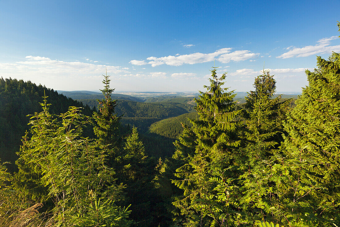 View from Teufelskanzel at Schneekopf hill, nature park Thueringer Wald,  Thuringia, Germany