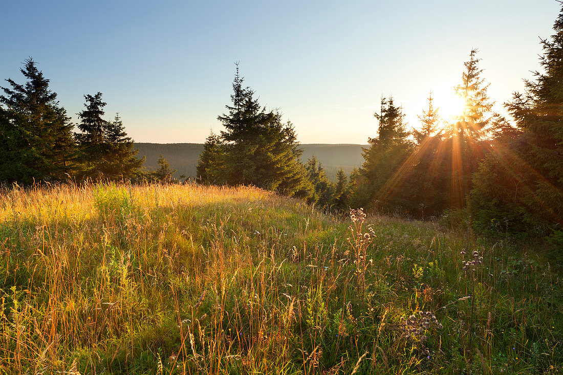 Sunset at Schneekopf hill, nature park Thueringer Wald,  Thuringia, Germany