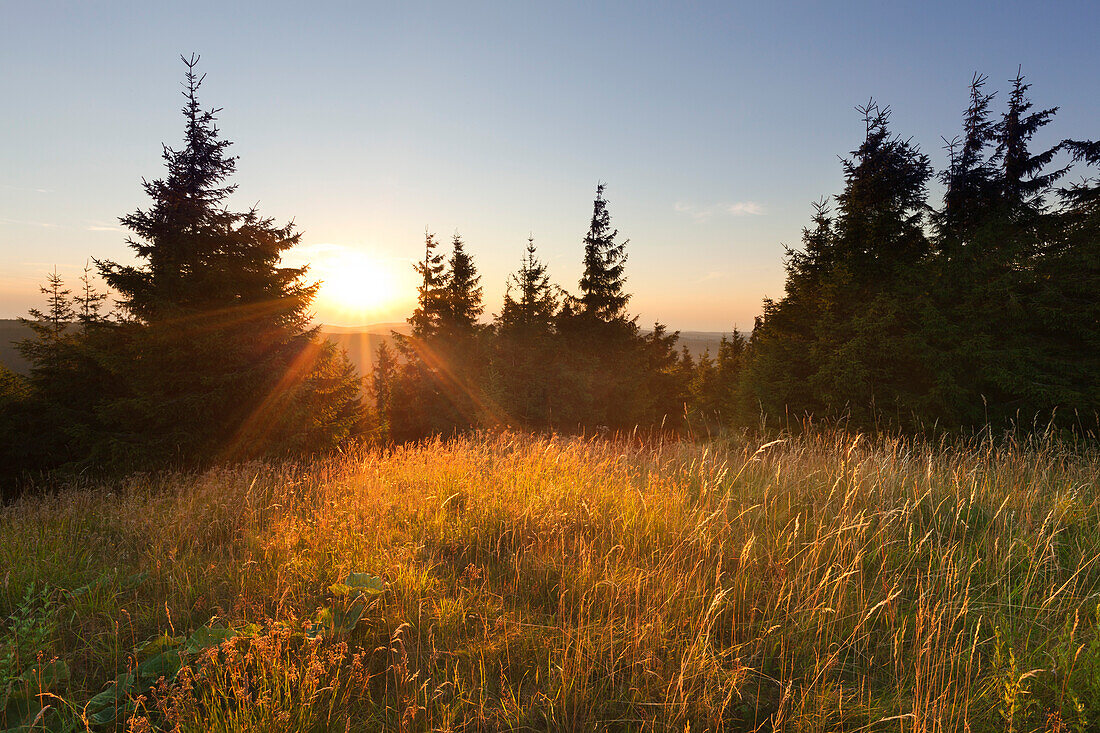Sunset at Schneekopf hill, nature park Thueringer Wald, Thuringia, Germany