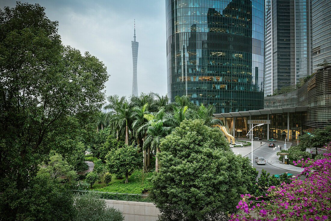 Guangzhou's iconic TV Tower with lush gardens and IFC (International Finance Center) tower, Guangdong province, Pearl River Delta, China