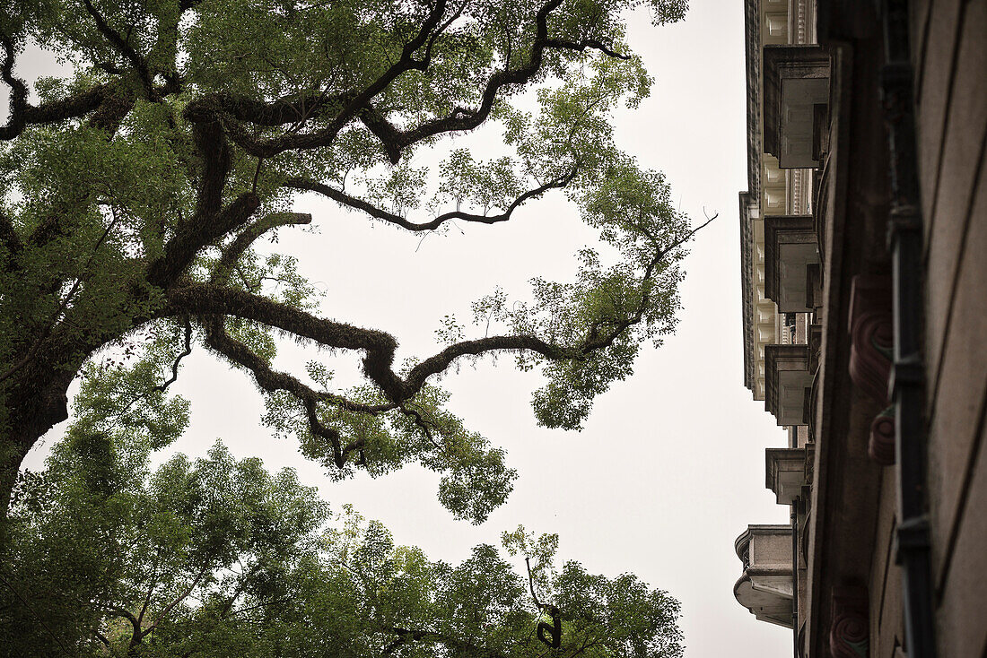 koloniale Villa in Guangzhou, Guangdong Provinz, Perlfluss Delta, China