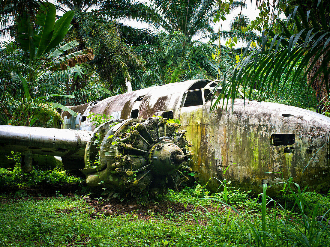 WW11 aircraft wreckage, near Kimbe, West New Britain, Papua New Guinea