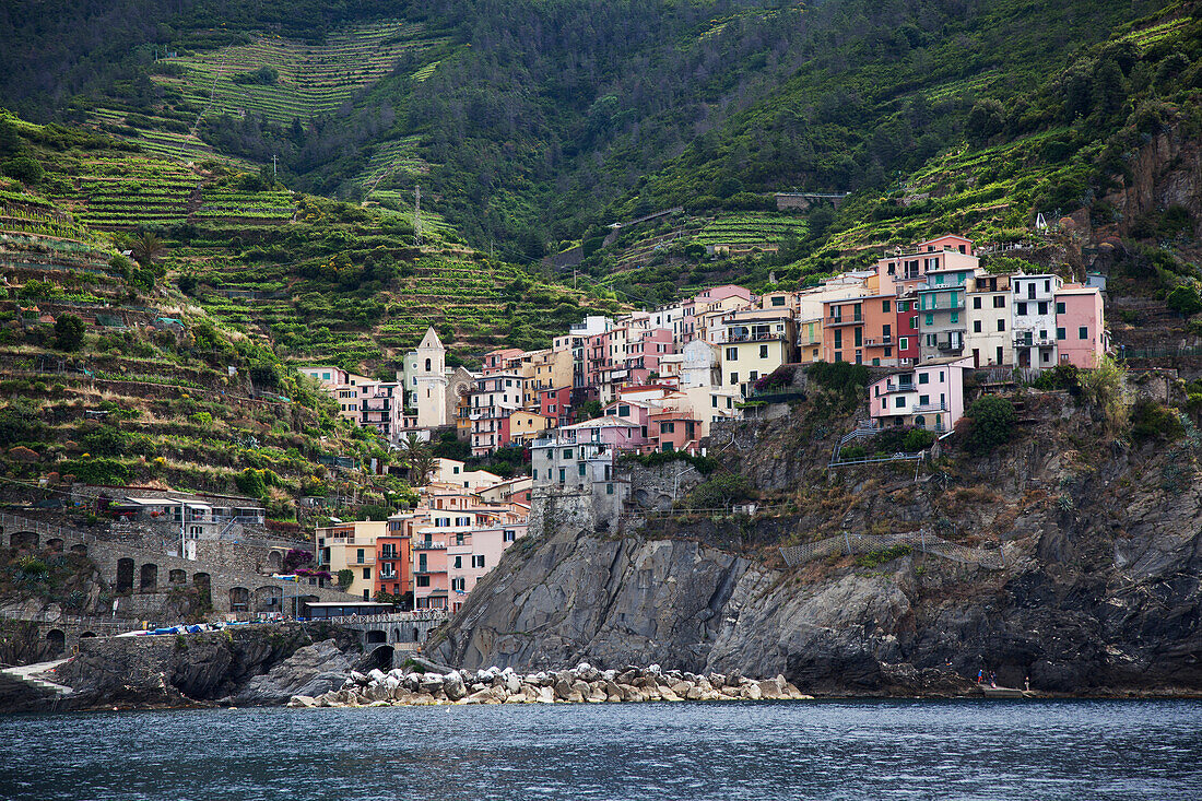 Colourful houses on the rugged coast, Riomaggiore, Liguria, Italy