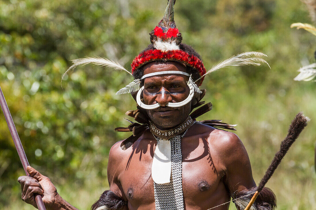 Dani man wearing bones on his nose and an elaborate headdress of bird of paradise or cassowary feathers, Obia Village, Baliem Valley, Central Highlands of Western New Guinea, Papua, Indonesia