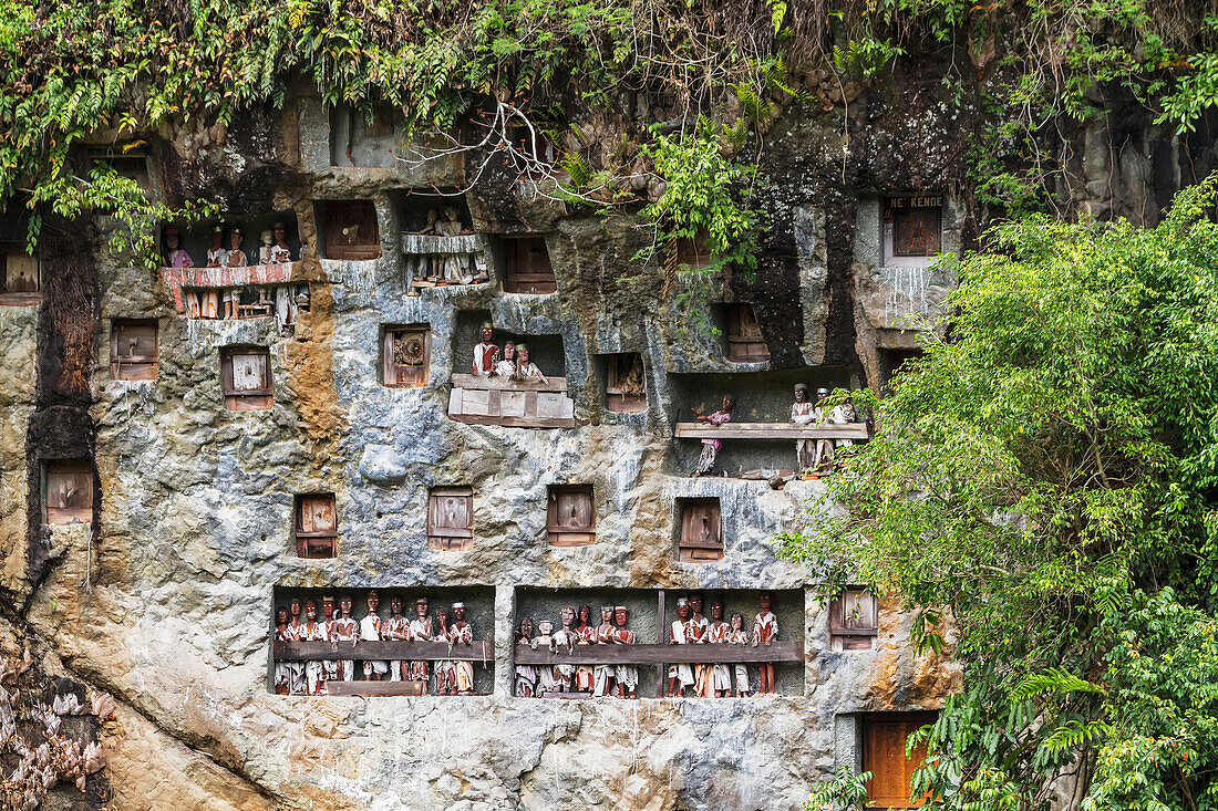 Stone graves carved out of a rocky cliff with  wood-carved effigies of the deceased, called Tau tau, Lemo, Toraja Land, South Sulawesi, Indonesia