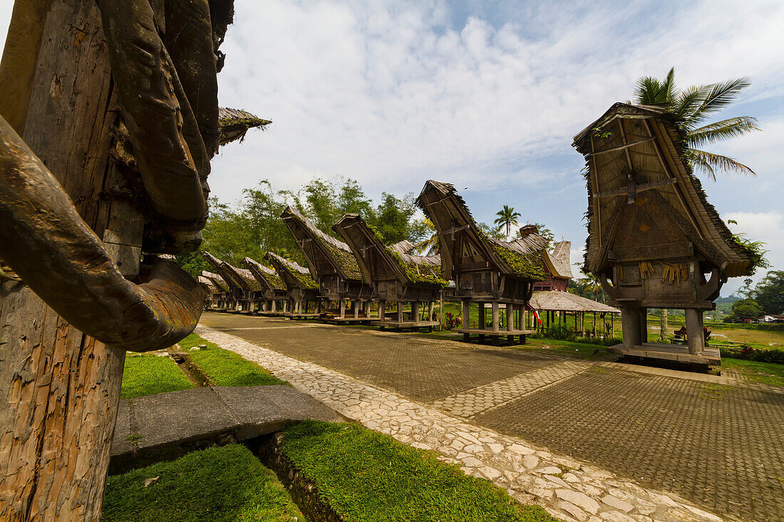 Tongkonan, traditional Torajan ancestral houses in Kete Kesu, Toraja Land, South Sulawesi, Indonesia