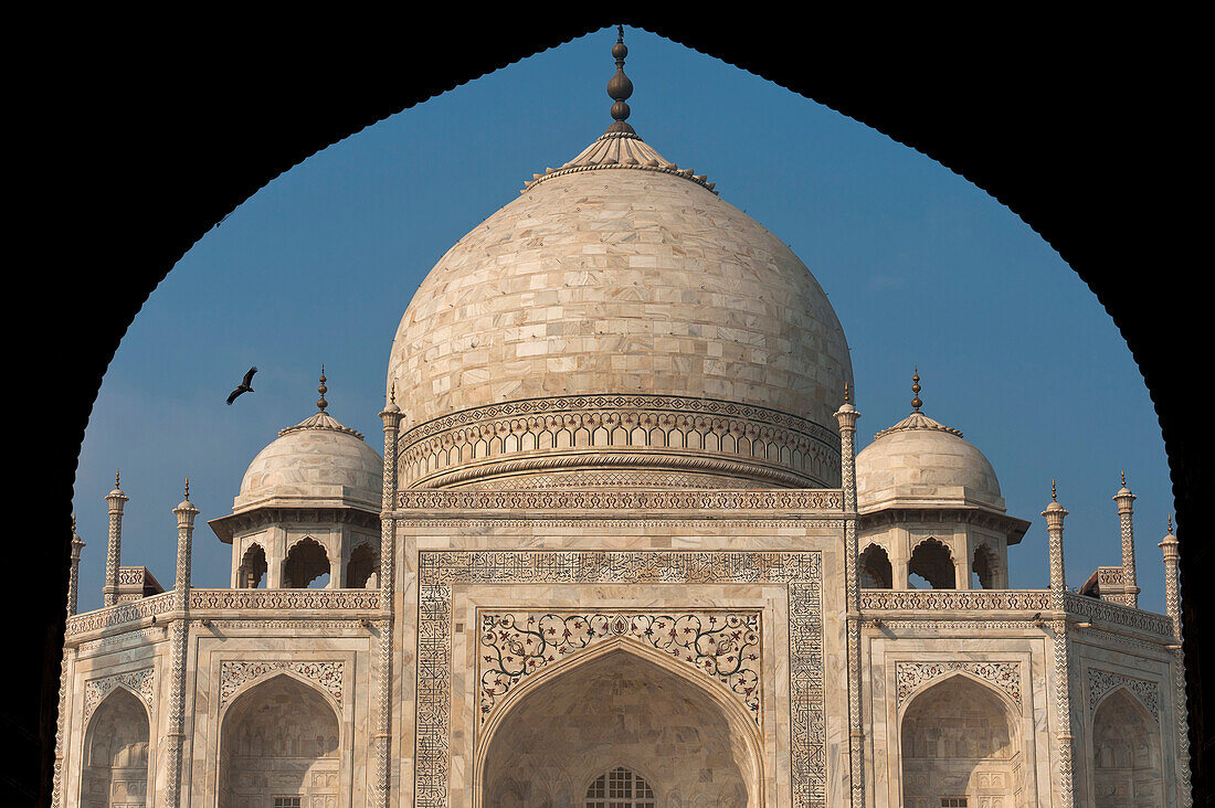 Detail of the Taj Mahal, Agra, India