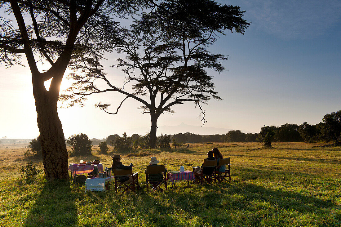 Bush breakfast under large acacia tree, Ol Pejeta Conservancy, Kenya