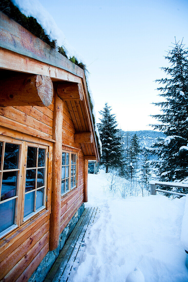 Winter alpine scenery with mountains, snow and a pine forest with Brekke rental cabins, Ortnevik, Sognefjord, Norway