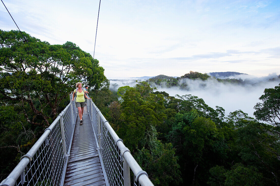 Jungle canopy walk at Ulu Temburong National Park, Brunei