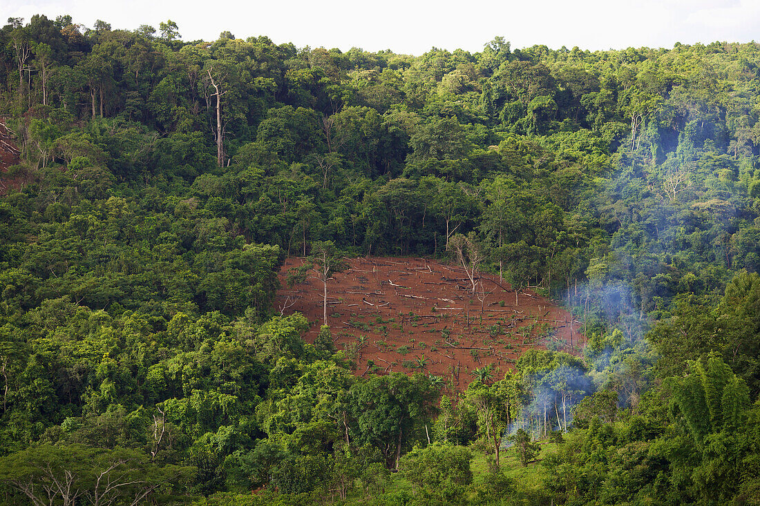 'Deforestation; Mondulkiri, Cambodia'