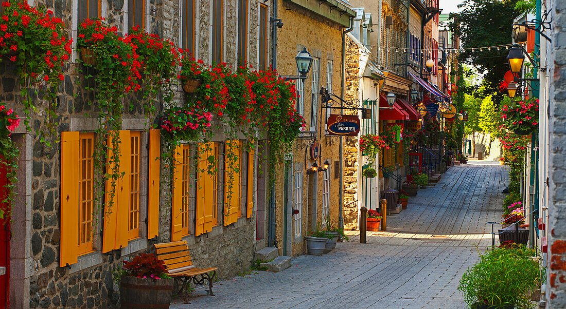 'Colourful street with shutters and blossoming flowers; Quebec City, Quebec, Canada'