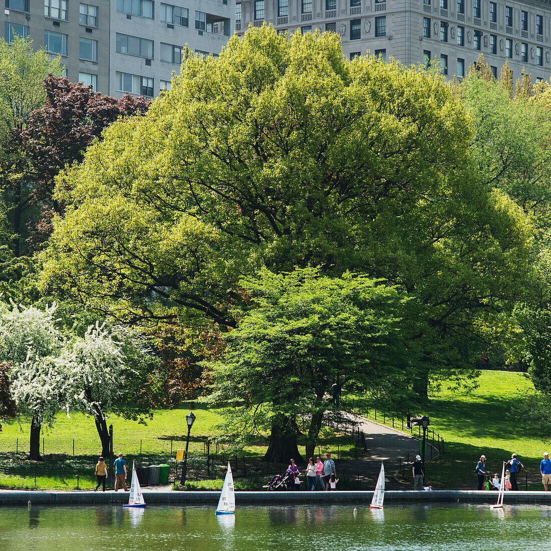 'Miniature sailboats on the water at an urban park; New York City, New York, United States of America'