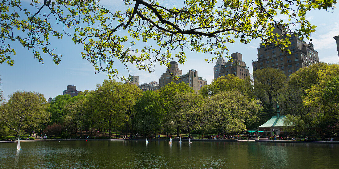 'Miniature sailboats in a lake in a park; New York City, New York, United States of America'